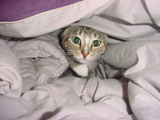 Suzie emerges from her cave!