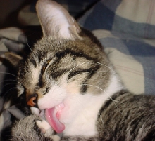Yummy!