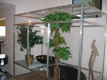 plexi viv