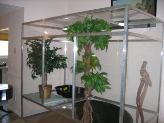 plexi viv