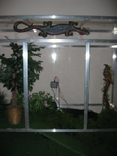 plexi viv