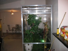 plexi viv