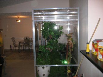 plexi viv