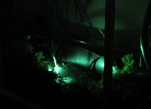 plexi viv