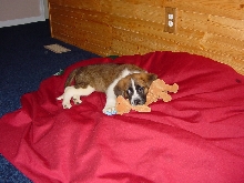 New addition to the family