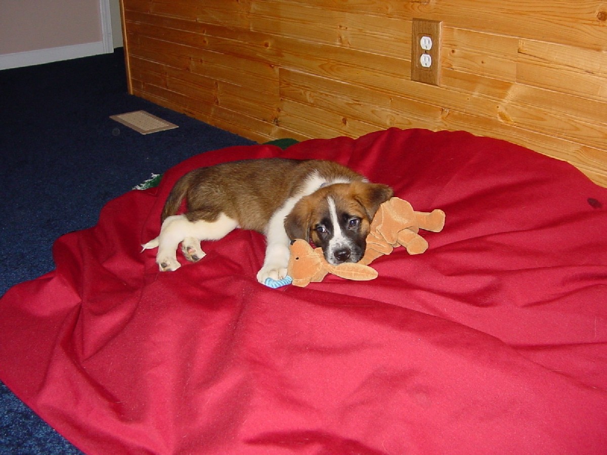 New addition to the family