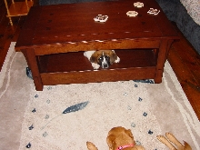 Hiding spot