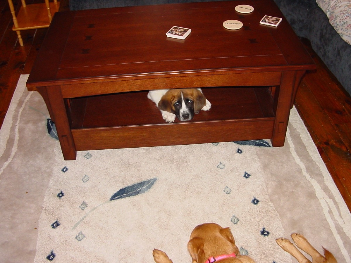 Hiding spot