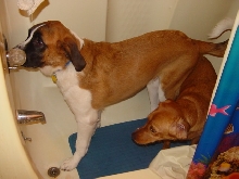We're ready for our bath