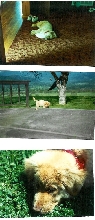 Baby Pictures