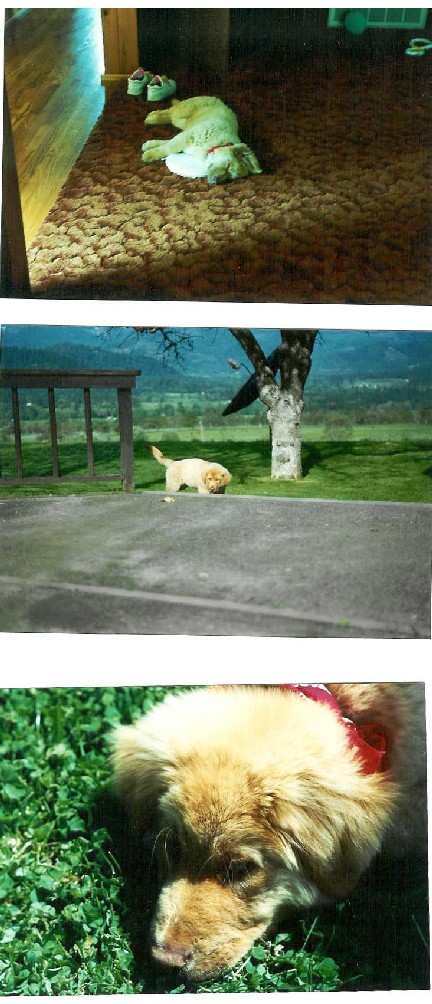 Baby Pictures