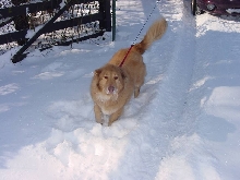 Out in the snow