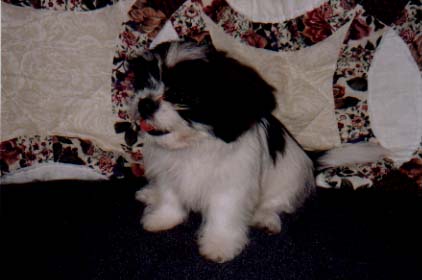abby gail