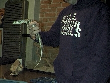 argus2
