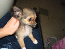 Angel's First Photo