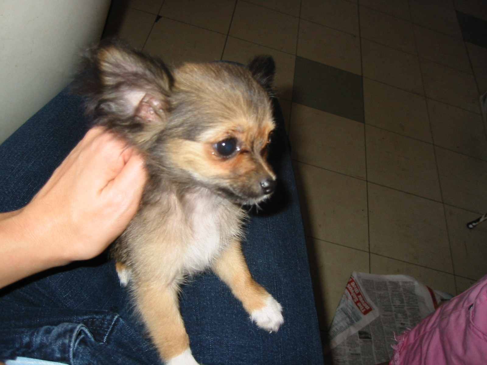 Angel's First Photo