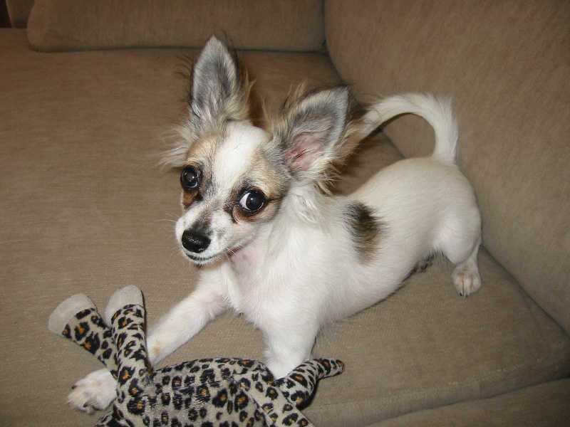 Bella at 25Mar04