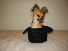 Angel in Hat