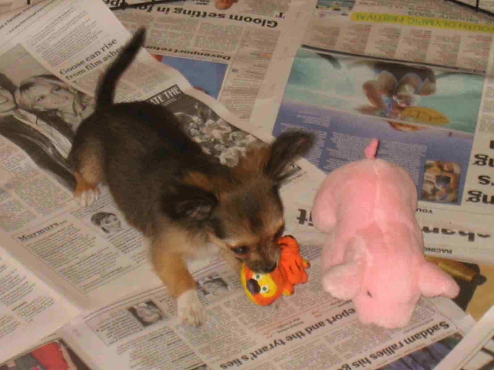 Angel with Pink Pig