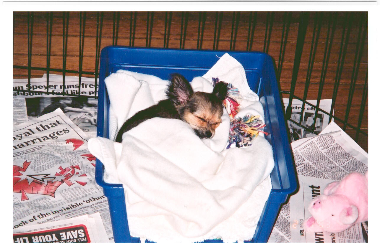 Sleeping