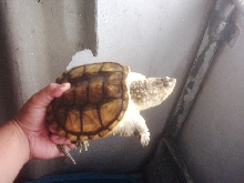His name is jack