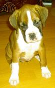 ruby