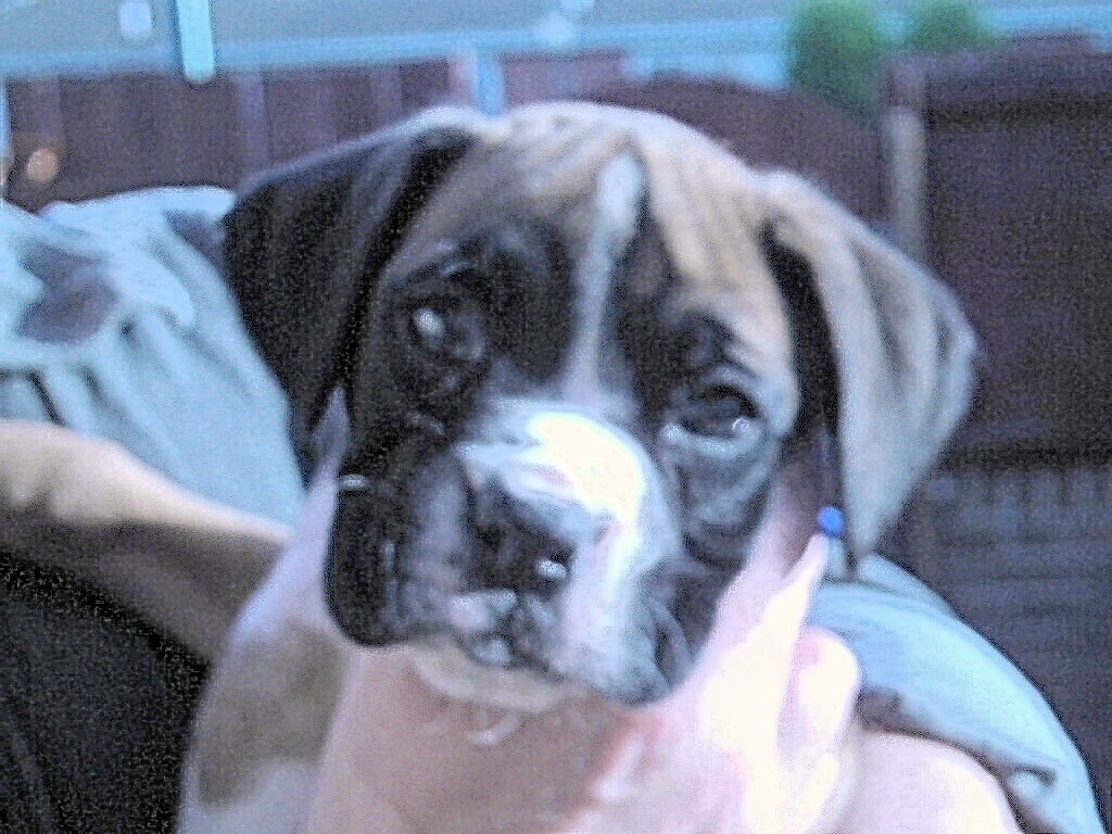 george at 7 weeks