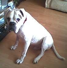 buster
