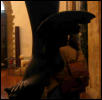 trackfoot