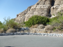 Low desert habitat