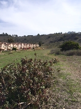 "Church" field, Palos Verdes