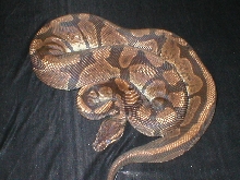 Granite
