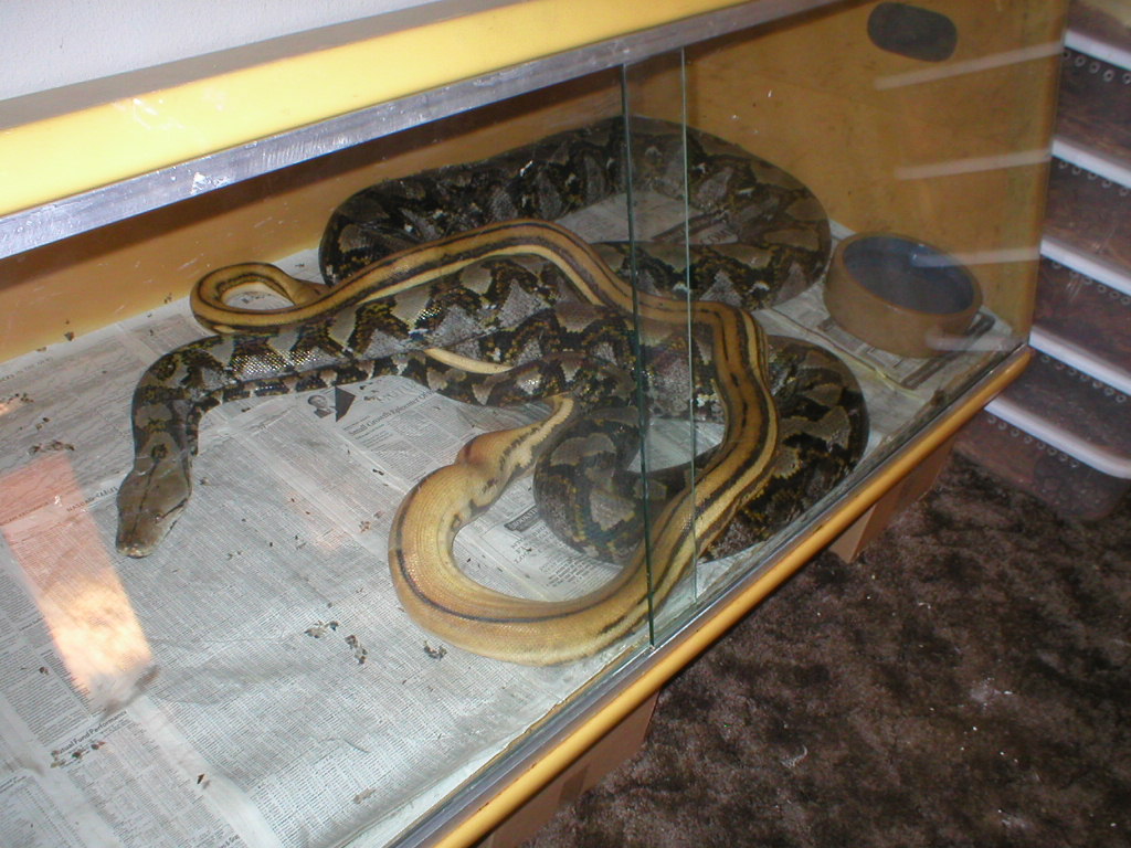 BREEDING!