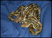 retics