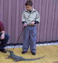 water monitor at BSA