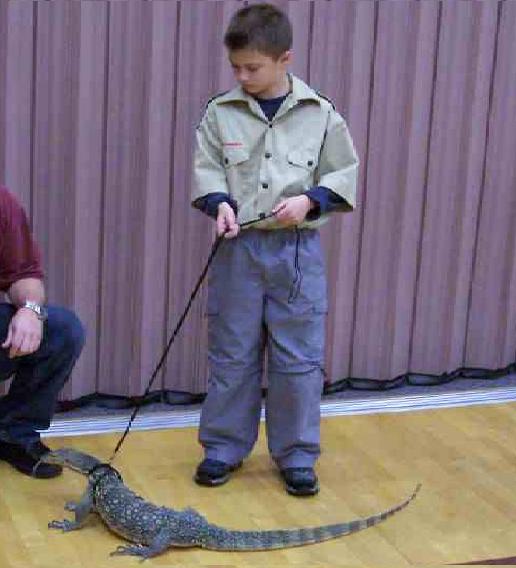 water monitor at BSA