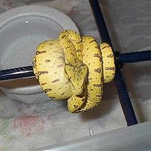 r103