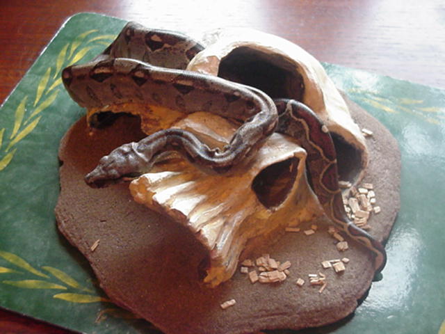 new hide