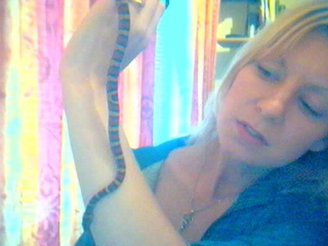 me and the new cornsnake