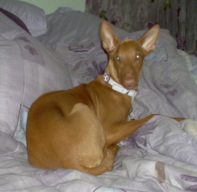 Sleeping like a princess