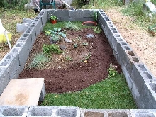 tortoise pen 6-20-08