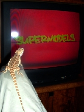 Watching supermodels!