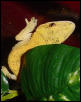 yellow adult male crested