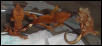 baby crested geckos