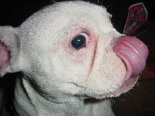 SLURP