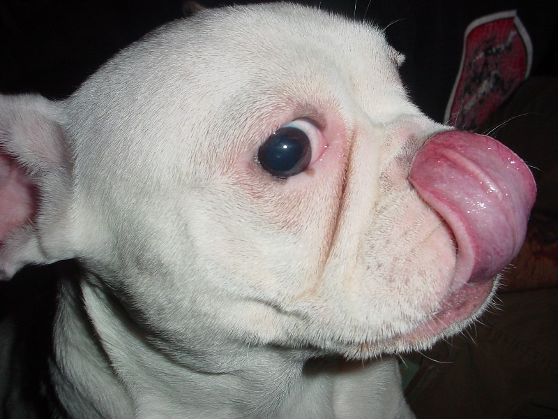 SLURP