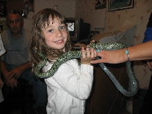 tame as can be
