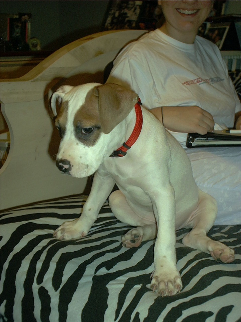 Gangly Boy