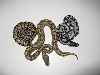 Lemon, Ghost, and Axanthic females
