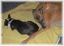 Sleeping
